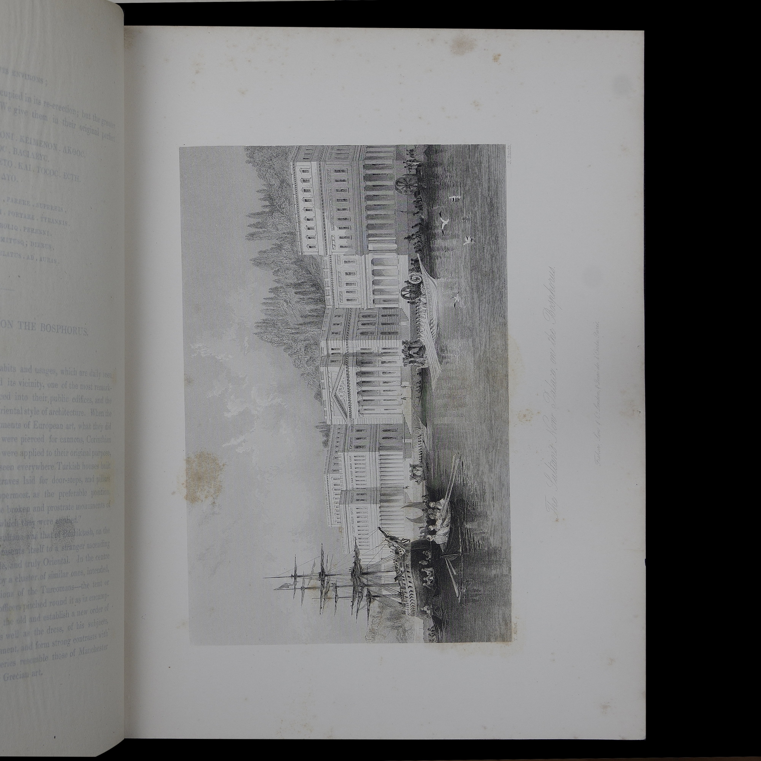 Thomas Allon-1 (5)
